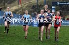 Senior and junior womens Inter-District, 2017 Great Edinburgh Cross Country. Photo: David T. Hewitson/Sports for All PIcs